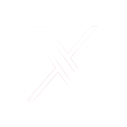 icone blanc et rond de twitter